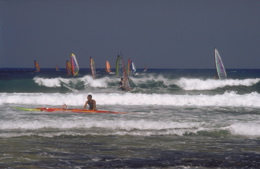Sport: Wellenreiten im Norden von Fuerteventura
